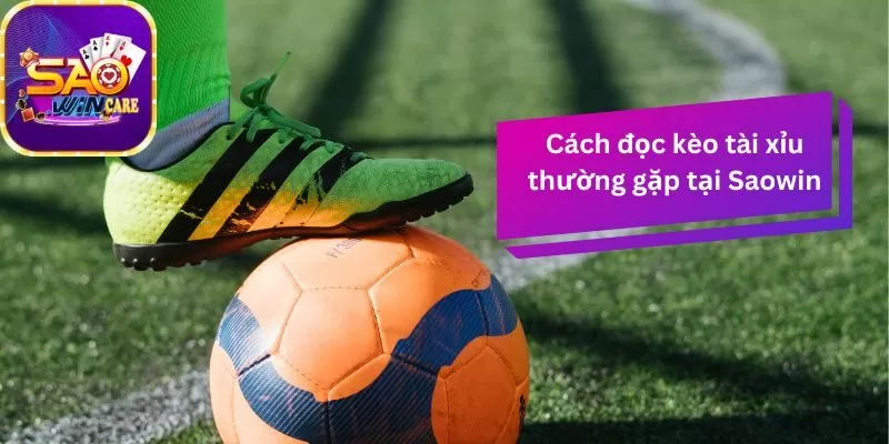 cach-doc-keo-tai-xiu-thuong-gap-tai-saowin